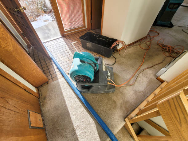 Best Emergency water damage restoration  in Withamsville, OH