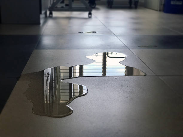 Best 24-hour water damage restoration  in Withamsville, OH