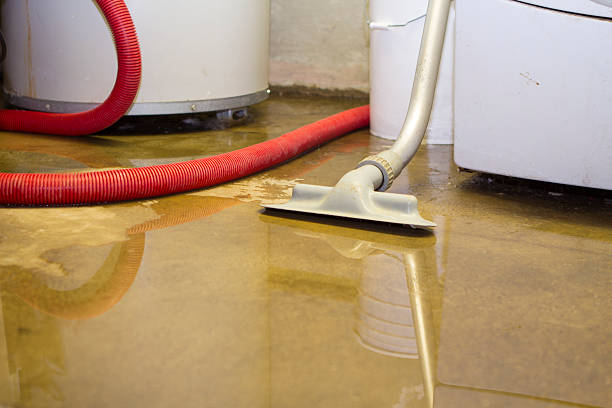 Best Sewage cleanup and water damage restoration  in Withamsville, OH