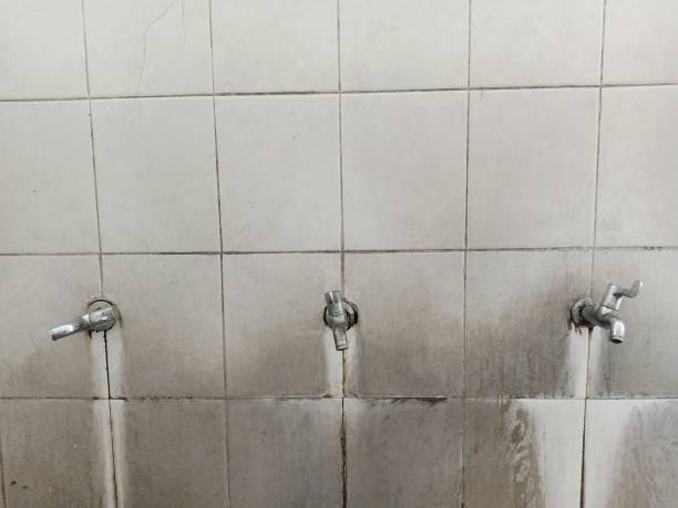 Best Emergency water extraction  in Withamsville, OH