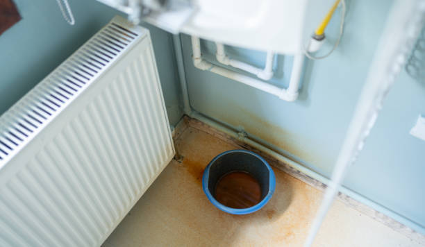 Best Fire Damage Restoration  in Withamsville, OH