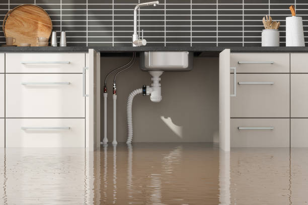 Best Water damage cleanup near me  in Withamsville, OH