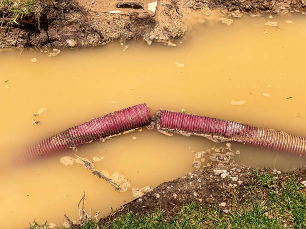 Best Water damage contractors near me  in Withamsville, OH