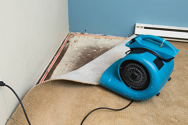 Best Flood damage cleanup  in Withamsville, OH